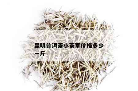 昆明普洱茶小茶室价格多少一斤