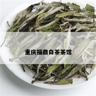 重庆福鼎白茶茶馆