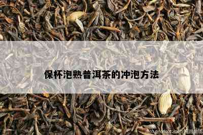 保杯泡熟普洱茶的冲泡方法