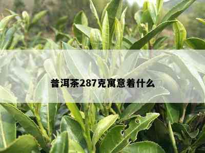 普洱茶287克寓意着什么