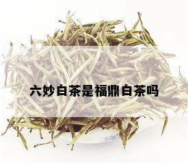 六妙白茶是福鼎白茶吗