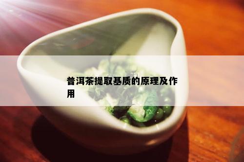 普洱茶提取基质的原理及作用