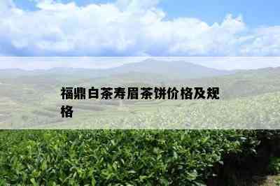 福鼎白茶寿眉茶饼价格及规格