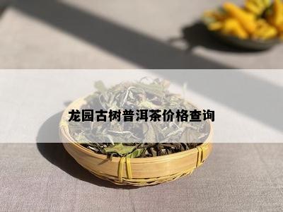 龙园古树普洱茶价格查询