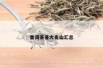 普洱茶各大名山汇总