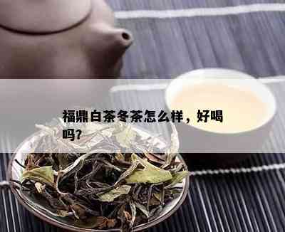 福鼎白茶冬茶怎么样，好喝吗？