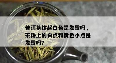 普洱茶饼起白色是发霉吗，茶饼上的白点和黄色小点是发霉吗？