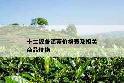 十二钗普洱茶价格表及相关商品价格