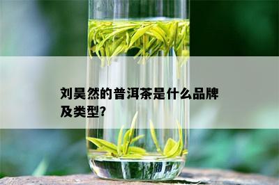 刘昊然的普洱茶是什么品牌及类型？