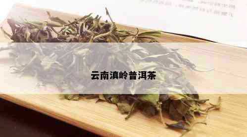 云南滇岭普洱茶