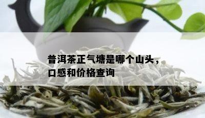 普洱茶正气塘是哪个山头，口感和价格查询