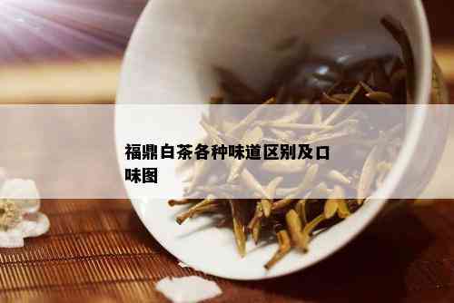 福鼎白茶各种味道区别及口味图