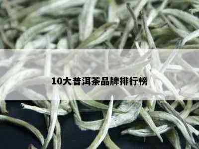 10大普洱茶品牌排行榜