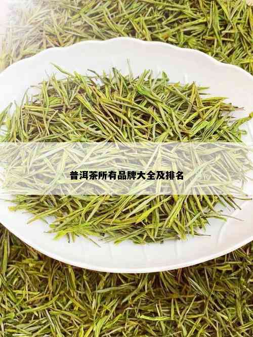 普洱茶所有品牌大全及排名