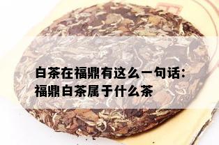 白茶在福鼎有这么一句话：福鼎白茶属于什么茶