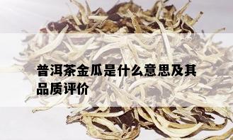 普洱茶金瓜是什么意思及其品质评价