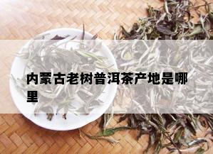 内蒙古老树普洱茶产地是哪里