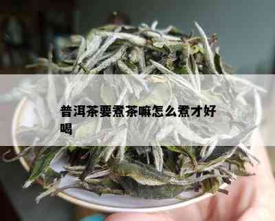 普洱茶要煮茶嘛怎么煮才好喝