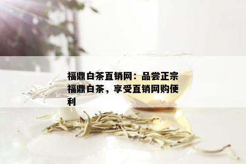 福鼎白茶直销网：品尝正宗福鼎白茶，享受直销网购便利