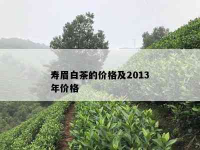 寿眉白茶的价格及2013年价格