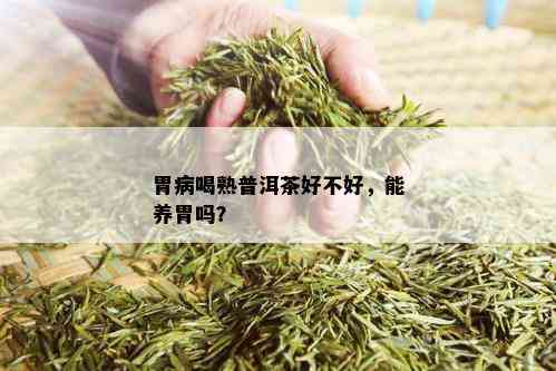 胃病喝熟普洱茶好不好，能养胃吗？