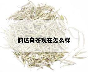 韵达白茶现在怎么样