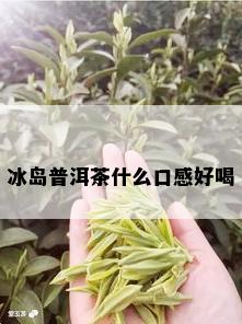 冰岛普洱茶什么口感好喝