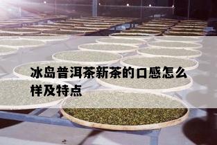 冰岛普洱茶新茶的口感怎么样及特点