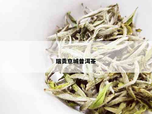 瑞贡京城普洱茶