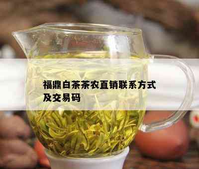 福鼎白茶茶农直销联系方式及交易码