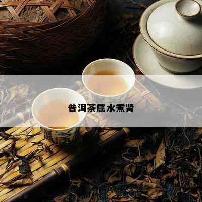 普洱茶属水煮肾