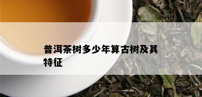 普洱茶树多少年算古树及其特征