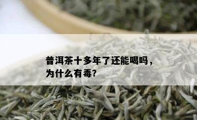 普洱茶十多年了还能喝吗，为什么有？