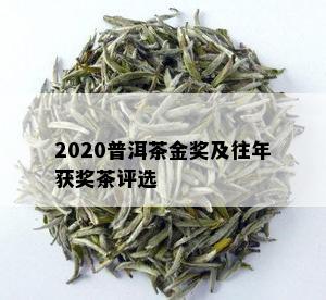 2020普洱茶金奖及往年获奖茶评选