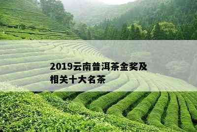 2019云南普洱茶金奖及相关十大名茶