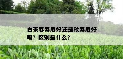 白茶春寿眉好还是秋寿眉好喝？区别是什么？