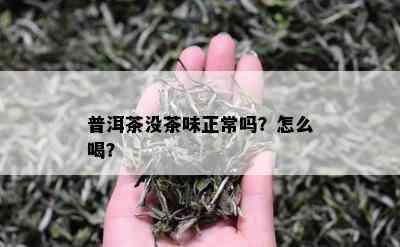 普洱茶没茶味正常吗？怎么喝？