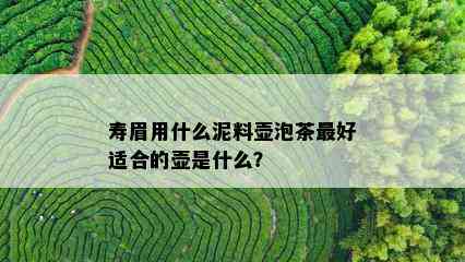 寿眉用什么泥料壶泡茶更好适合的壶是什么？