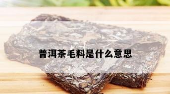 普洱茶毛料是什么意思