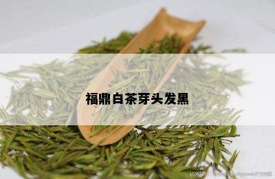 福鼎白茶芽头发黑