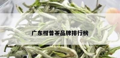 广东柑普茶品牌排行榜