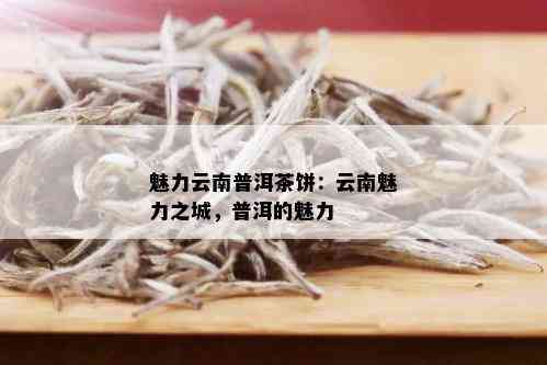 魅力云南普洱茶饼：云南魅力之城，普洱的魅力