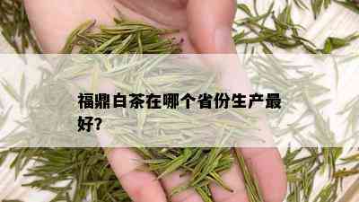 福鼎白茶在哪个省份生产更好？