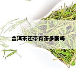 普洱茶还带有茶多酚吗