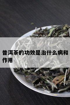 普洱茶的功效是治什么病和作用