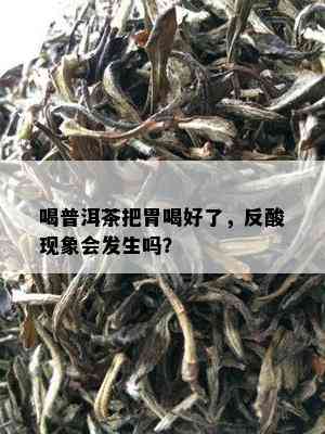 喝普洱茶把胃喝好了，反酸现象会发生吗？