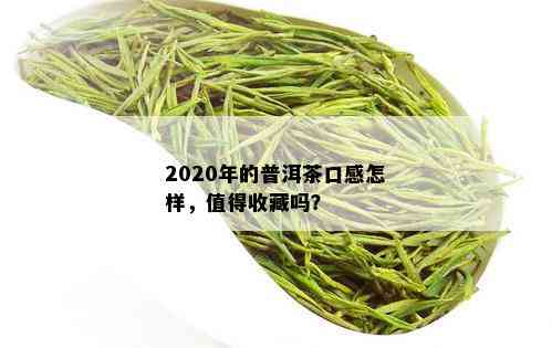 2020年的普洱茶口感怎样，值得收藏吗？