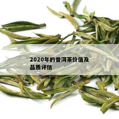 2020年的普洱茶价值及品质评估