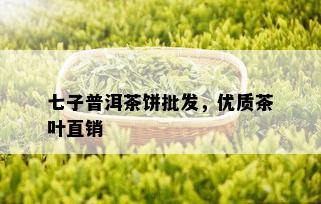 七子普洱茶饼批发，优质茶叶直销