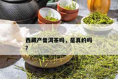  *** 产普洱茶吗，是真的吗？